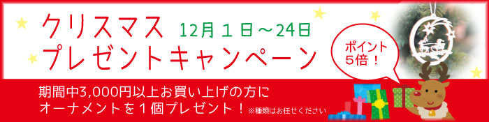 2015クリスマスキャンペーン